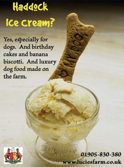 Haddock Ice Cream - for Dogs