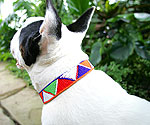 Handmade Maasai Beaded Dog Collar