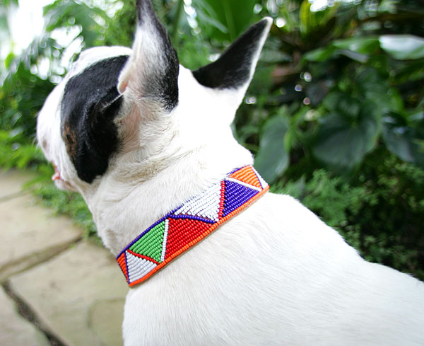 Handmade Maasai Beaded Dog Collar