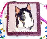 Doggie Birthday Cake